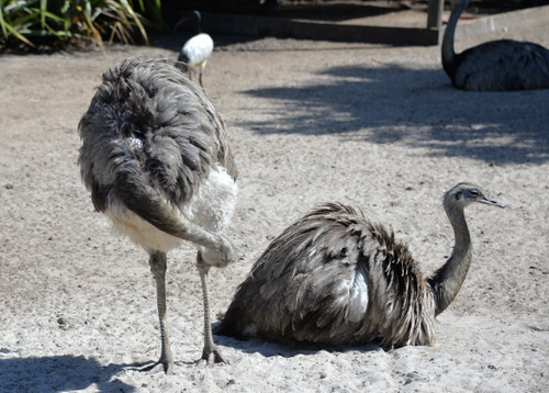 World of Birds Wildlife Sanctuary.